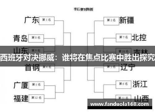 西班牙对决挪威：谁将在焦点比赛中胜出探究