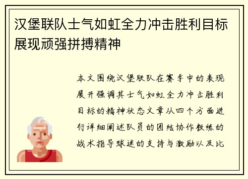 汉堡联队士气如虹全力冲击胜利目标展现顽强拼搏精神